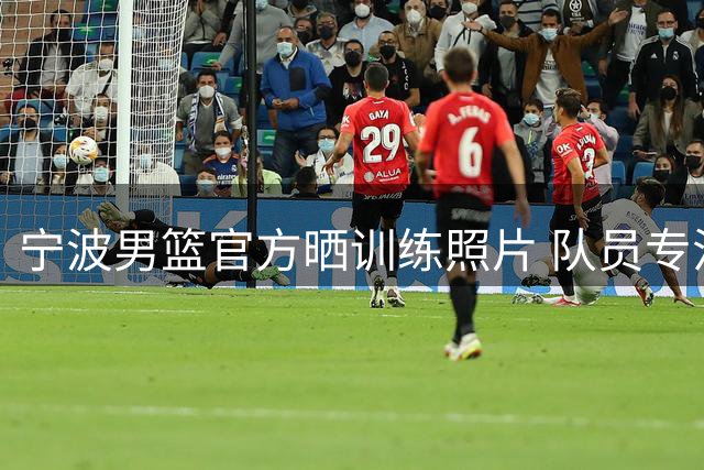 宁波男篮官方晒训练照片 队员专注投篮与对抗训练