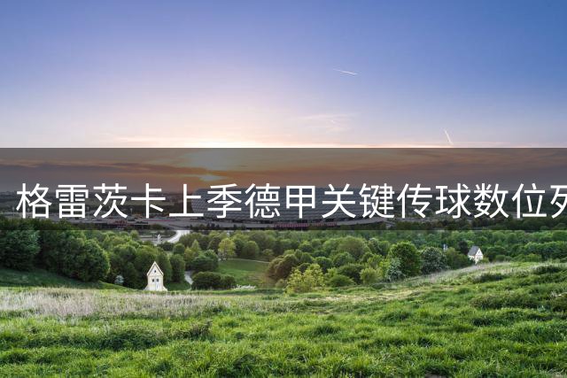 格雷茨卡上季德甲关键传球数位列欧洲前茅